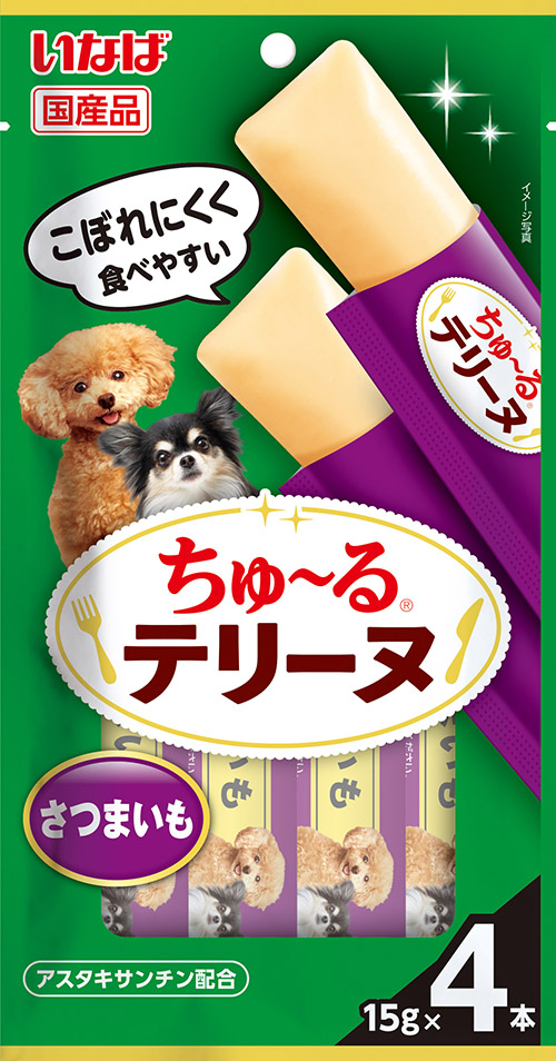 [DOG] 이나바 완츄르 테린 - 고구마